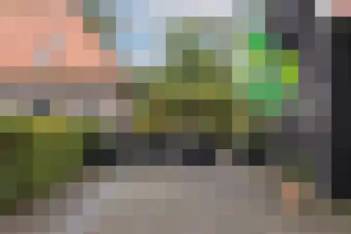 Schoneveldsdijk 28 Barchem thumbnail 8