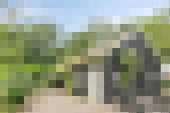 Schoneveldsdijk 28 Barchem thumbnail 9