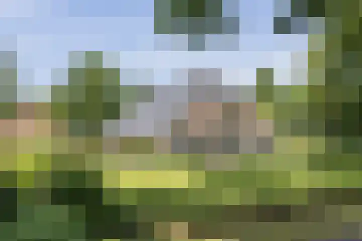 Schoneveldsdijk 32 Barchem thumbnail 4