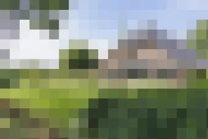 Schoneveldsdijk 32 Barchem thumbnail 5