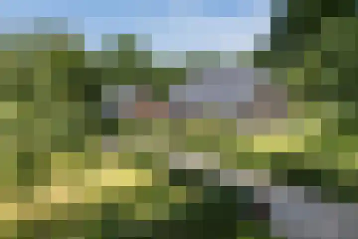 Schoneveldsdijk 32 Barchem thumbnail 6