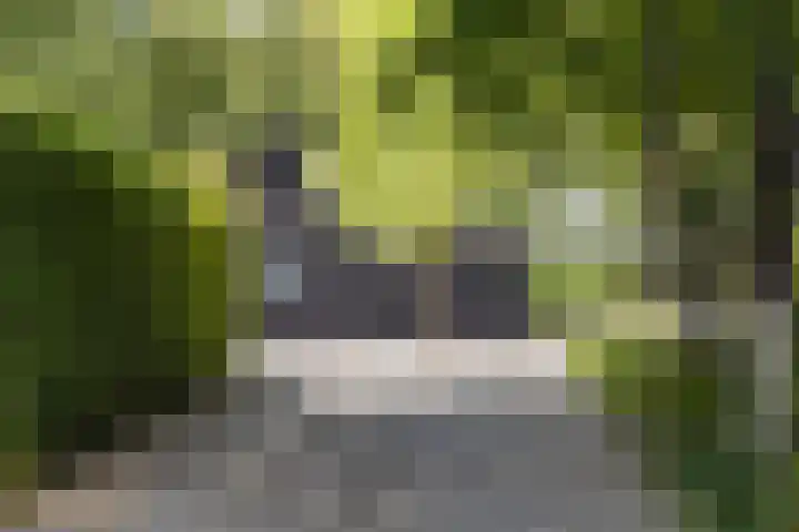Schoneveldsdijk 32 Barchem thumbnail 7