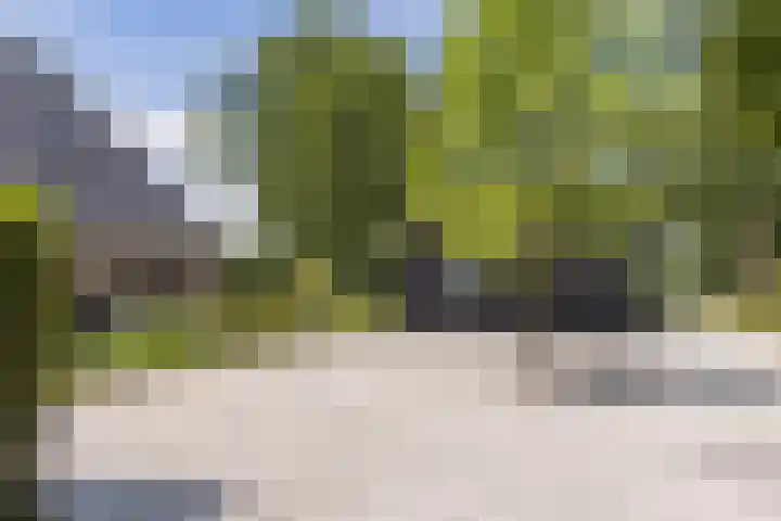 Schoneveldsdijk 32 Barchem thumbnail 9