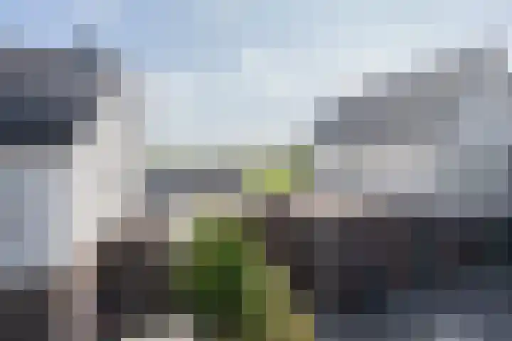 Schonewal 22 Kruiningen thumbnail 10