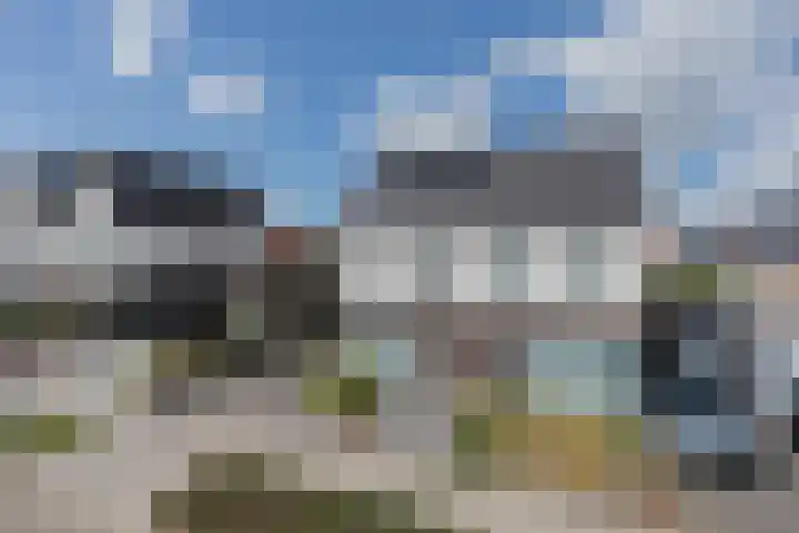 Schonewal 22 Kruiningen thumbnail 15