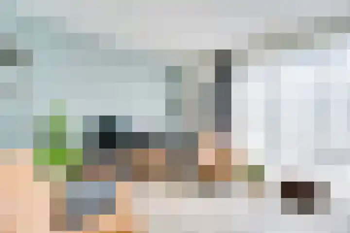 Schonewal 22 Kruiningen thumbnail 21