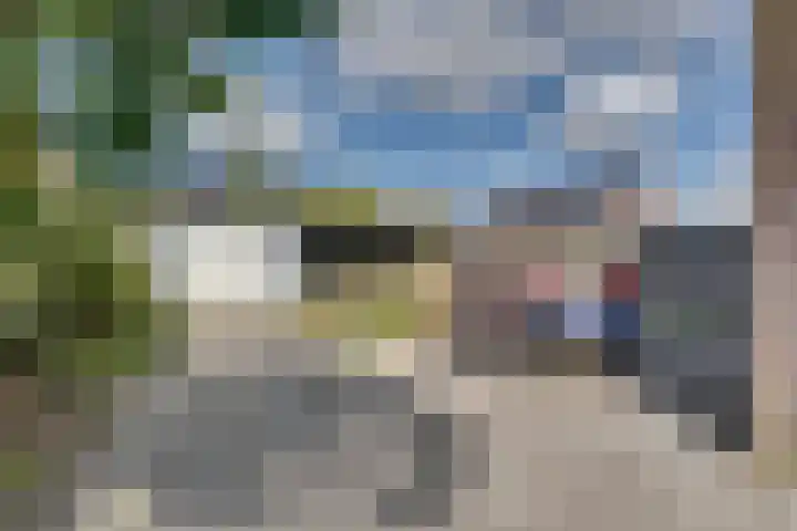 Schonewal 22 Kruiningen thumbnail 51