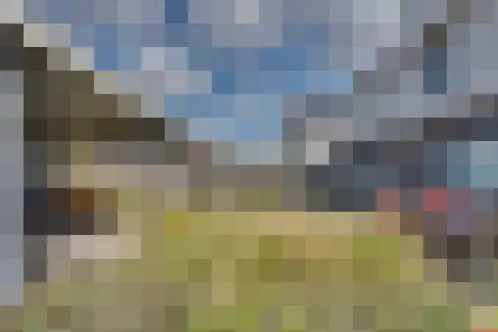 Schonewal 22 Kruiningen thumbnail 56