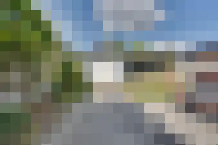 Schonewal 22 Kruiningen thumbnail 58