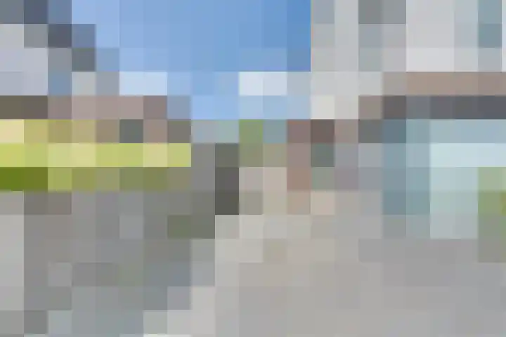 Schonewal 22 Kruiningen thumbnail 6