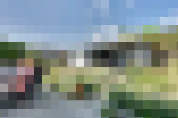 Schonewal 22 Kruiningen thumbnail 60