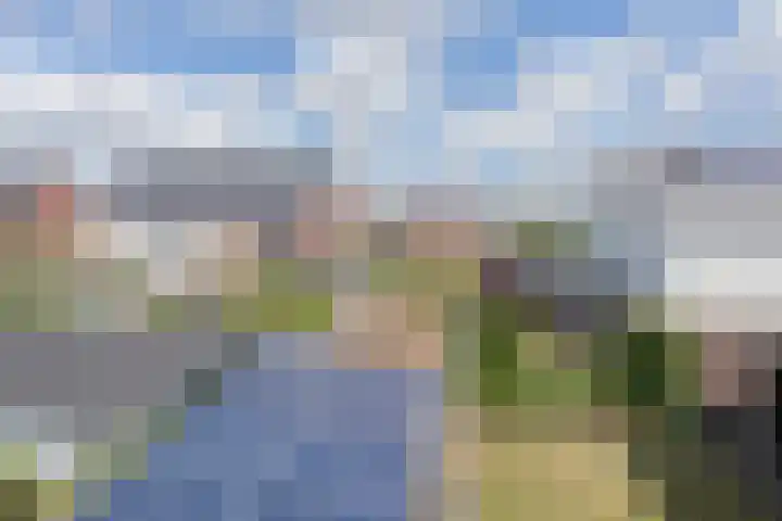 Schonewal 22 Kruiningen thumbnail 61