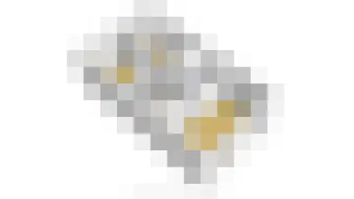 Schonewal 22 Kruiningen thumbnail 67