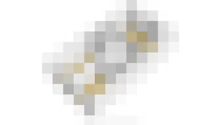Schonewal 22 Kruiningen thumbnail 68