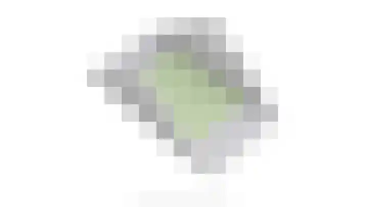 Schonewal 22 Kruiningen thumbnail 69