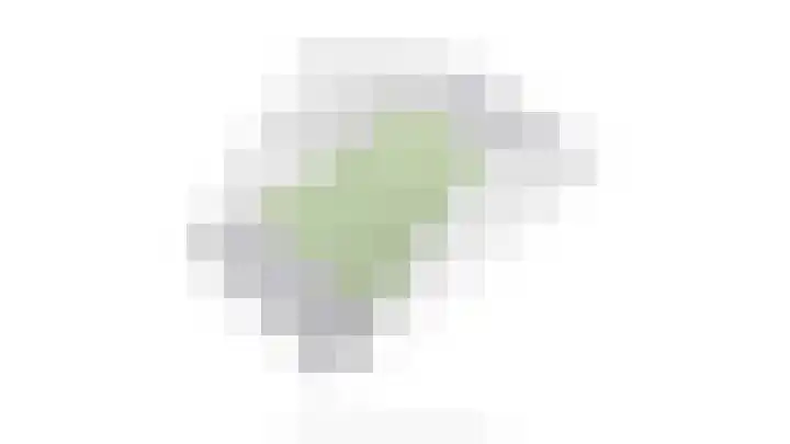 Schonewal 22 Kruiningen thumbnail 70