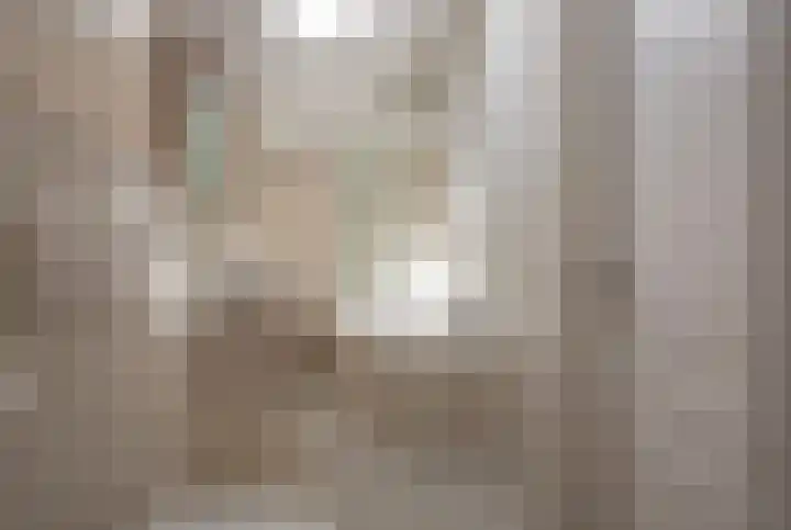 Schoof 25 Huissen thumbnail 22