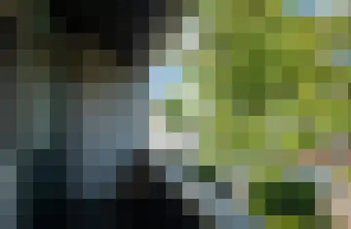 Schoof 25 Huissen thumbnail 24