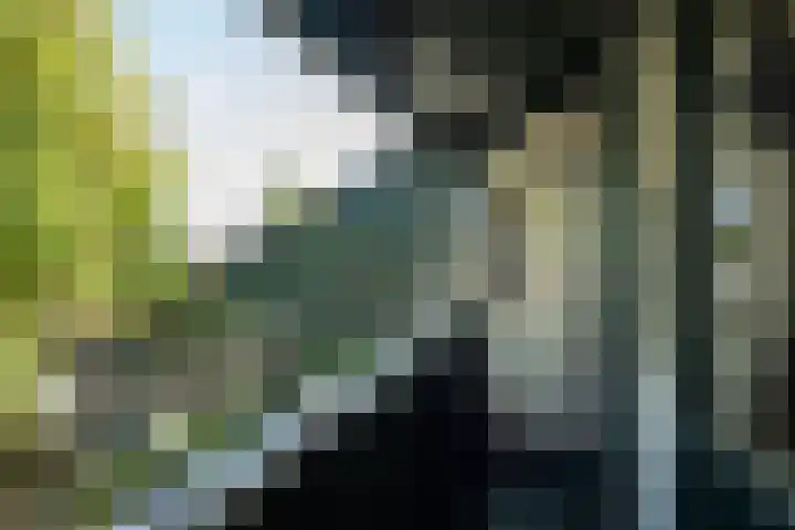Schoof 25 Huissen thumbnail 25
