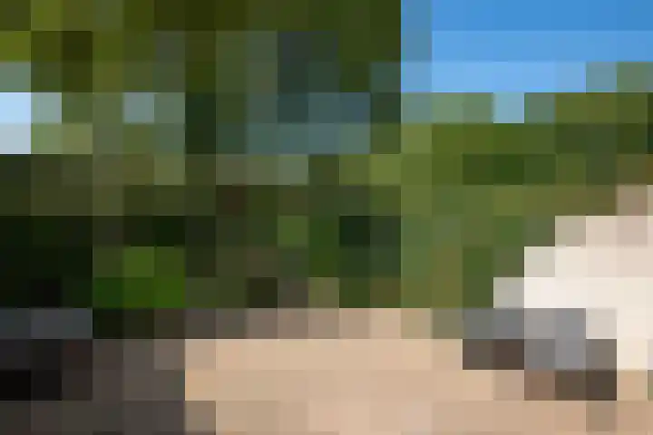 Schoof 25 Huissen thumbnail 26