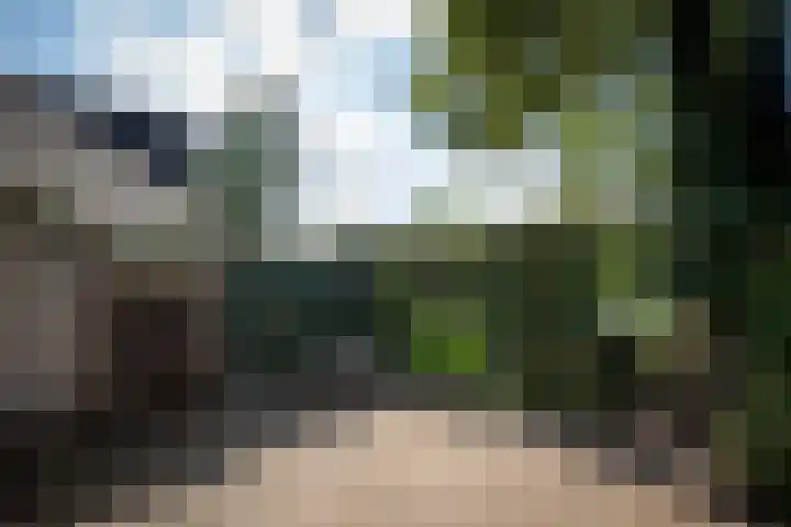 Schoof 25 Huissen thumbnail 27