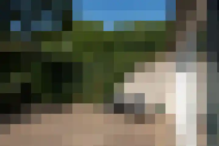 Schoof 25 Huissen thumbnail 29