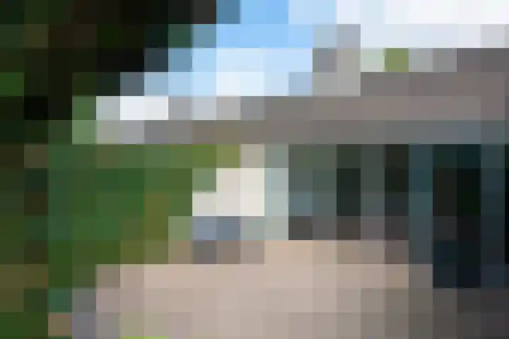 Schoof 25 Huissen thumbnail 30