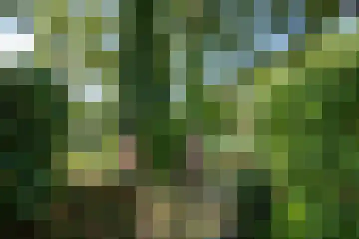 Schoof 25 Huissen thumbnail 32