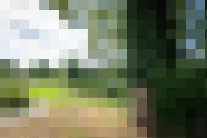 Schoof 25 Huissen thumbnail 34
