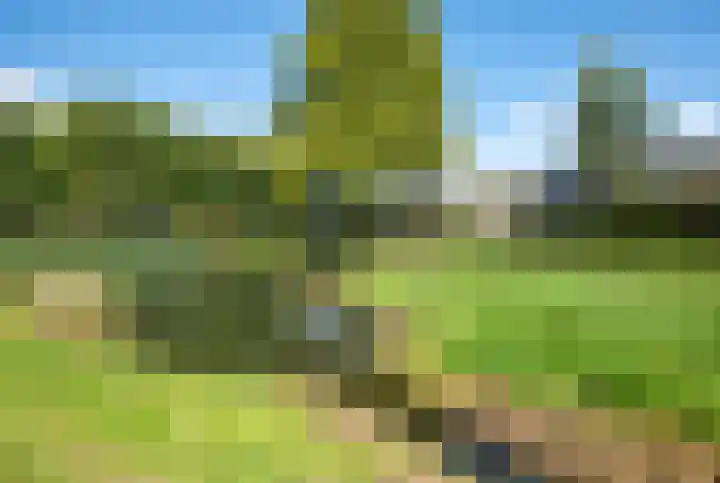 Schoof 25 Huissen thumbnail 35