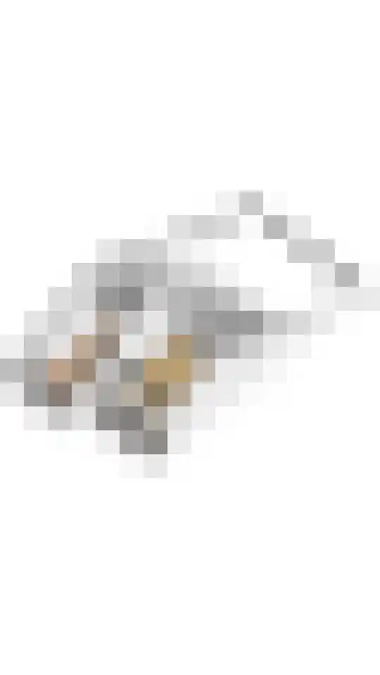 Schoof 25 Huissen thumbnail 39