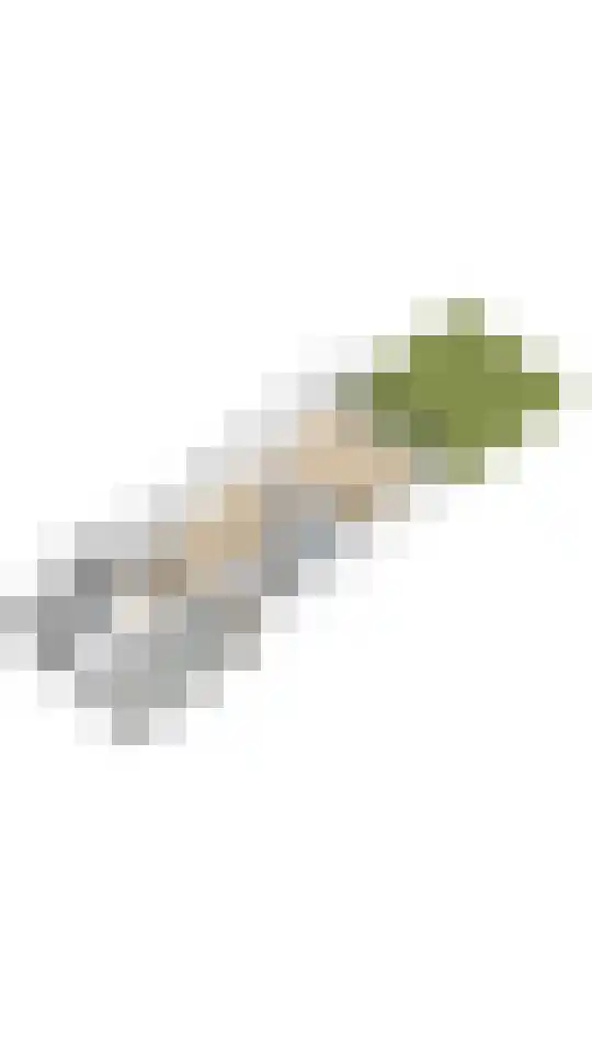 Schoof 25 Huissen thumbnail 41