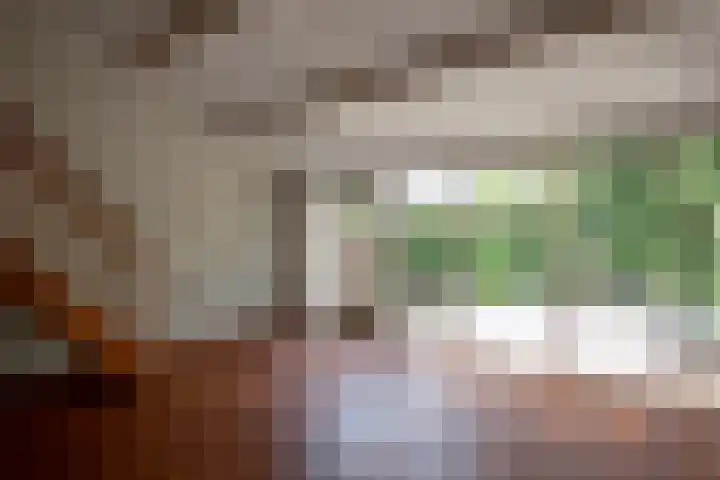 Schoof 25 Huissen thumbnail 5