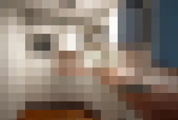 Schoof 25 Huissen thumbnail 9