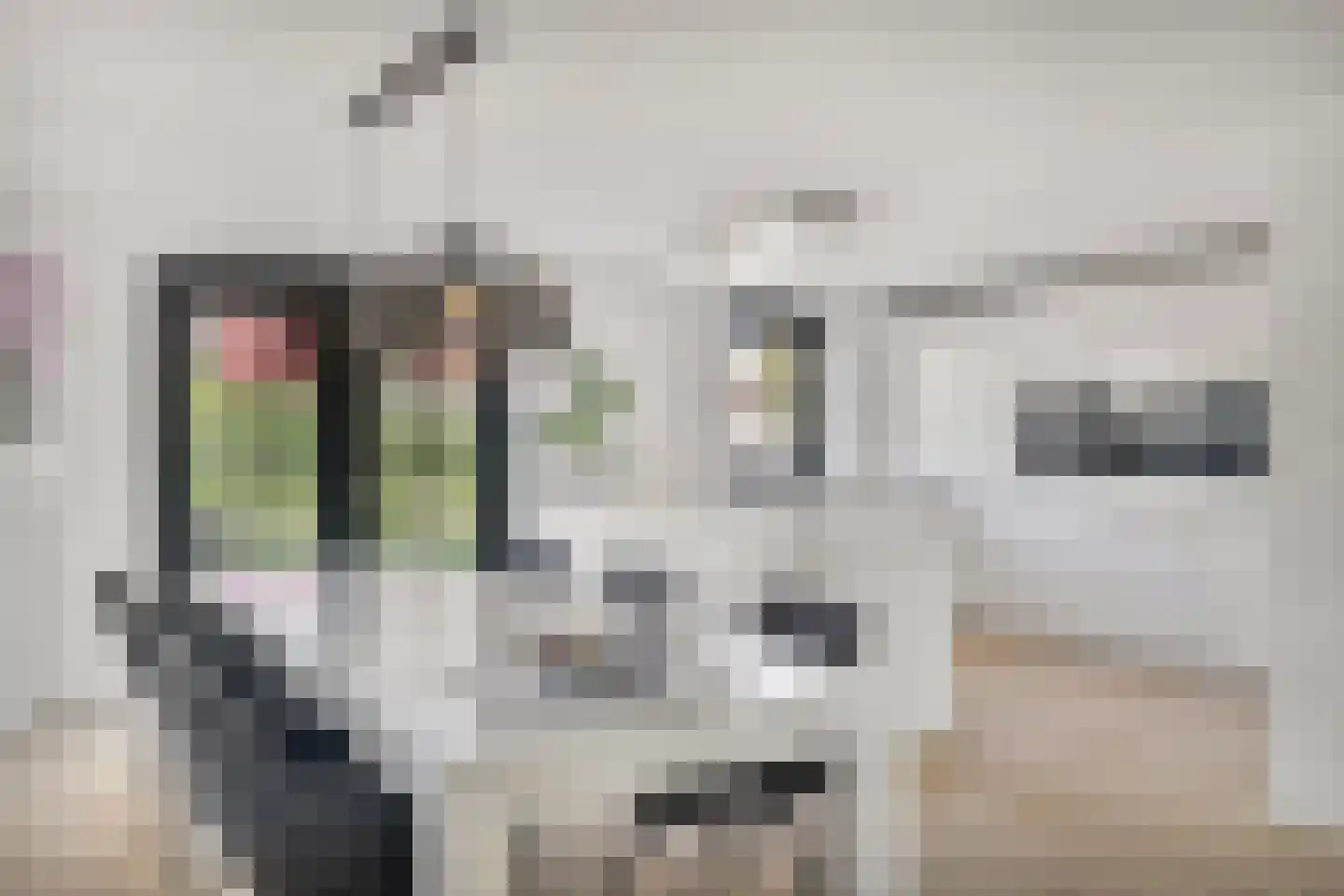 Schoof 27 Wieringerwerf foto 3