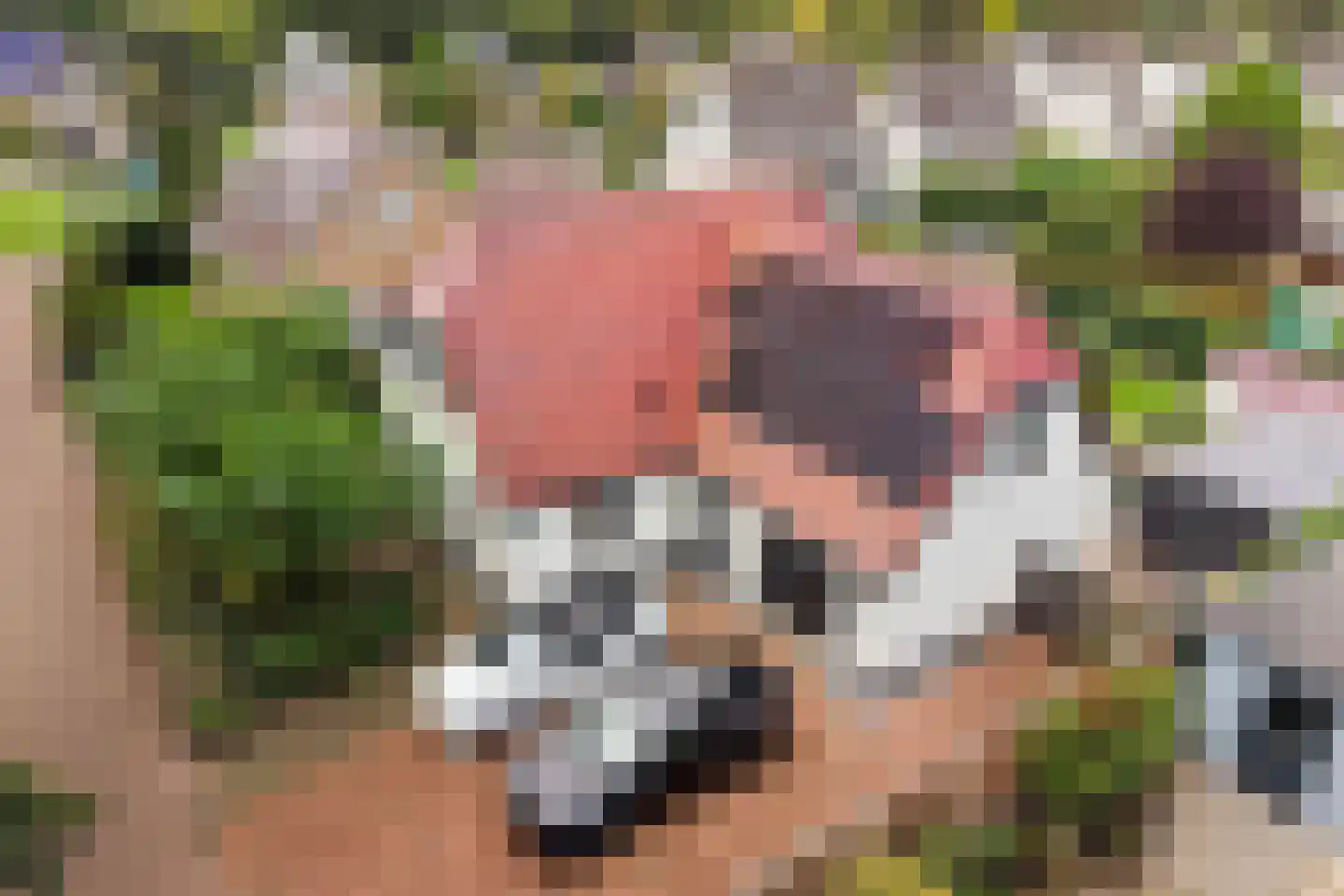 Schoof 27 Wieringerwerf thumbnail 34