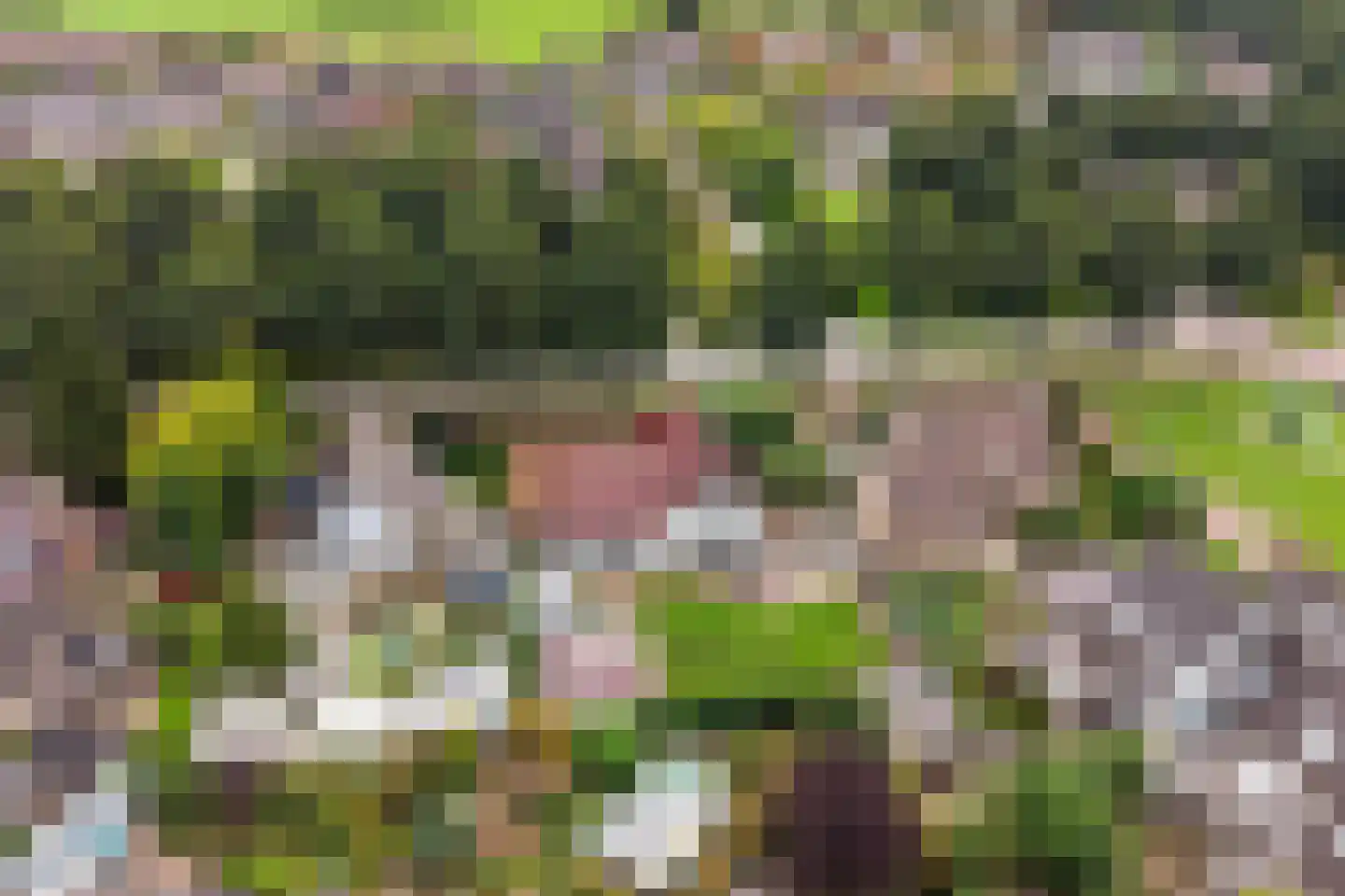 Schoof 27 Wieringerwerf thumbnail 40