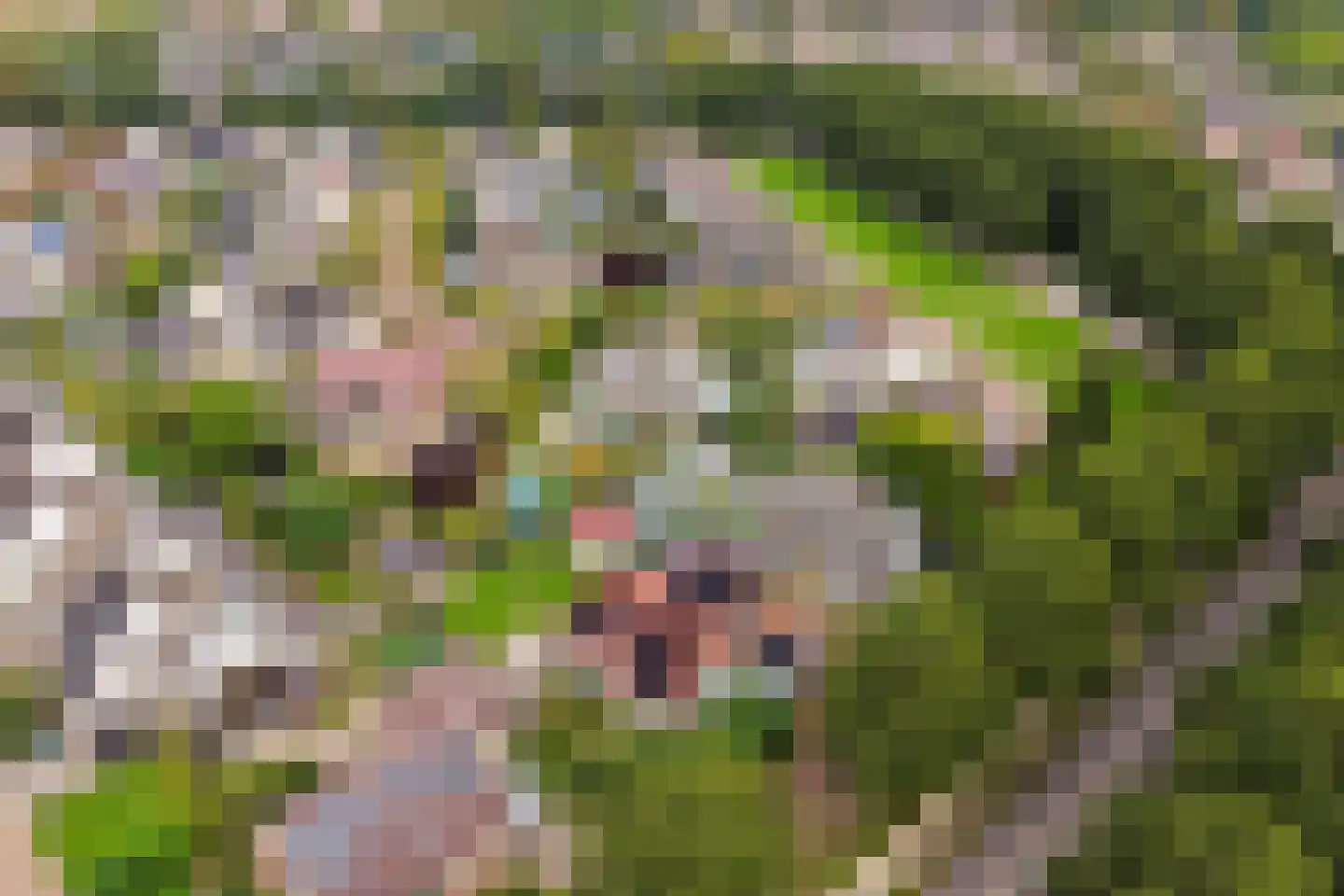 Schoof 27 Wieringerwerf thumbnail 41