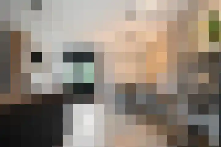 Schoof 29 Huissen thumbnail 12