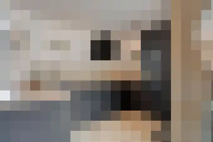 Schoof 29 Huissen thumbnail 13