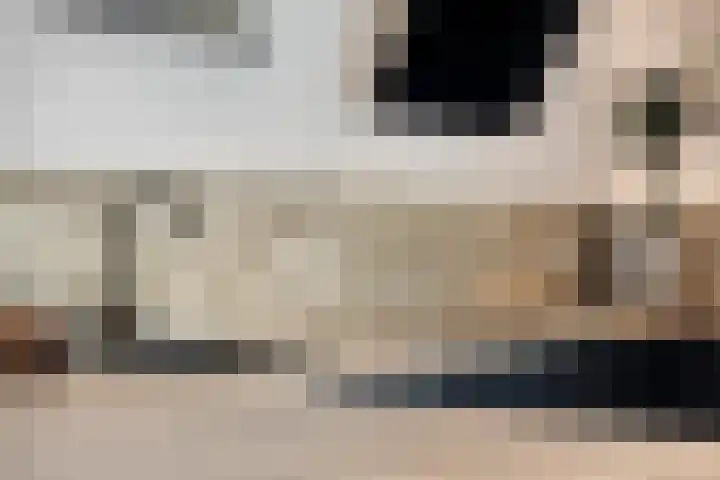 Schoof 29 Huissen thumbnail 14