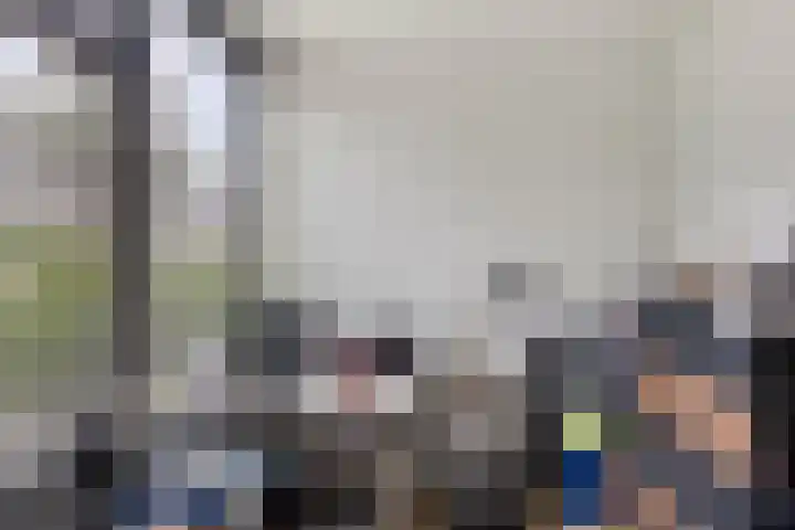 Schoof 29 Huissen thumbnail 16