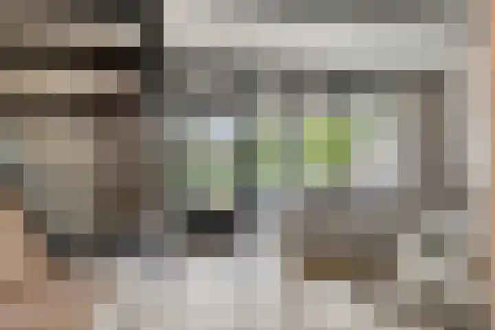 Schoof 29 Huissen thumbnail 17