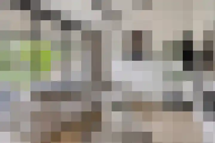 Schoof 29 Huissen thumbnail 19
