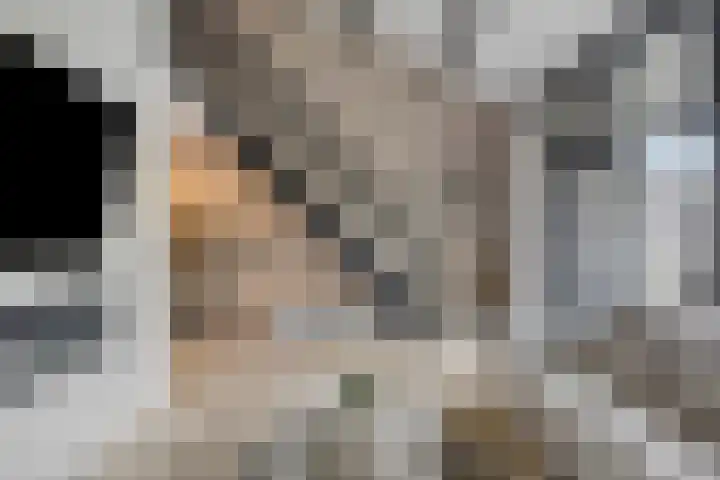 Schoof 29 Huissen thumbnail 20