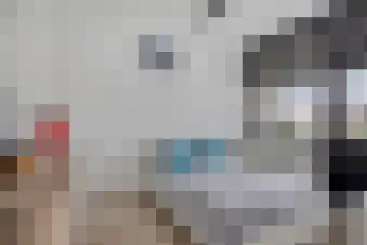 Schoof 29 Huissen thumbnail 24