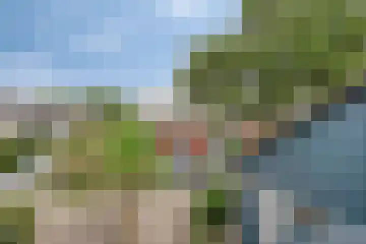 Schoof 29 Huissen thumbnail 26