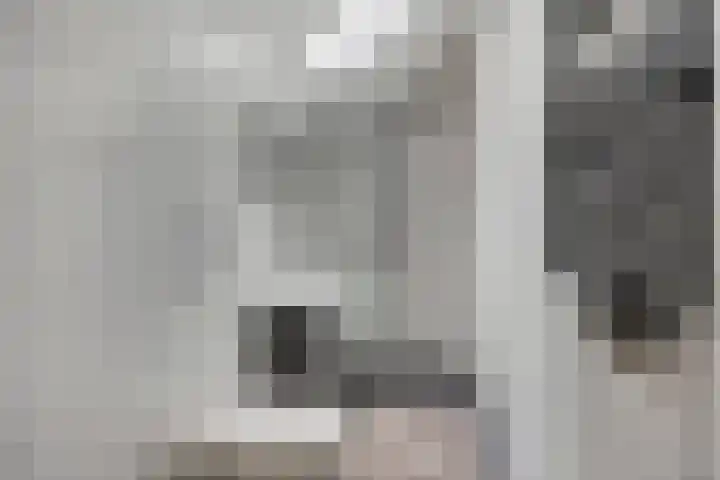 Schoof 29 Huissen thumbnail 27