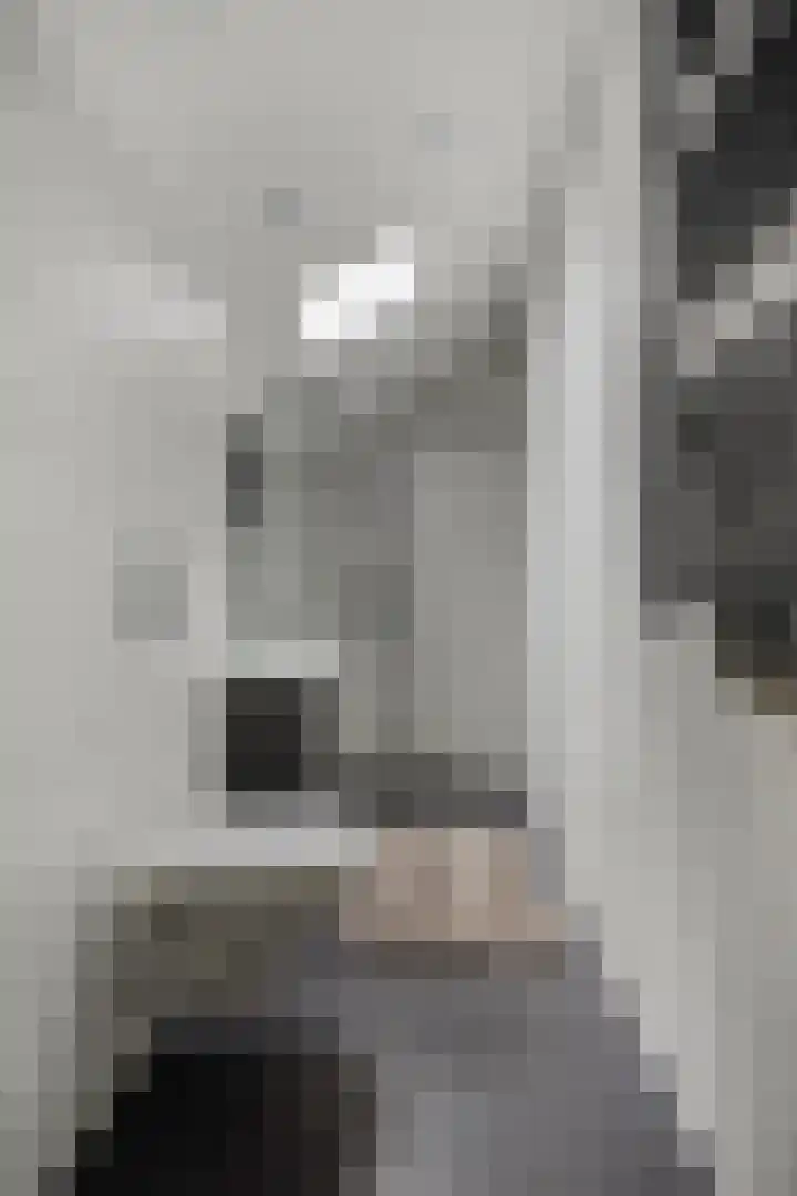 Schoof 29 Huissen thumbnail 30