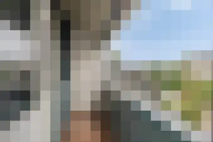 Schoof 29 Huissen thumbnail 33